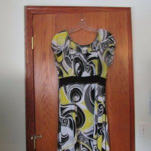 ELLEN PARKER MULTI COLOR SIZE LARGE DRESS